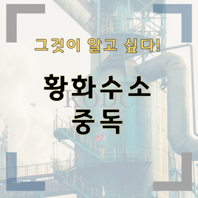 황화수소 중독 - 그것이 알고 싶다!